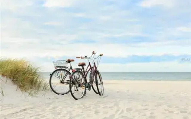 Gulf Shore Condo #622