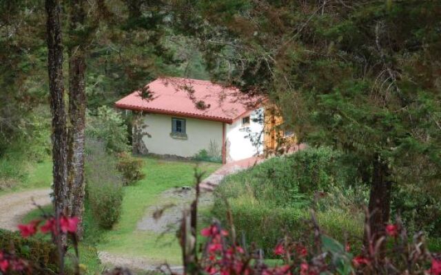 Bosque del Tolomuco