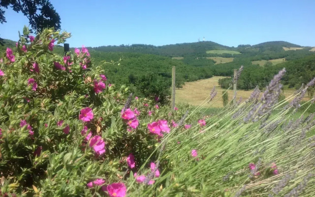 Ferme de Serene