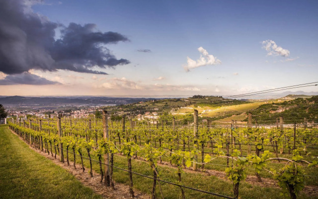 B&B Boutique Osteria della pieve