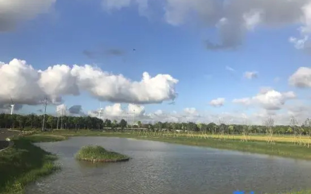 Shanghal 0xygen land Resort Villa