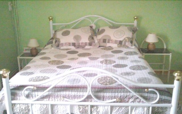 les tilleuls de la voie verte