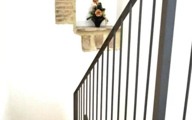 Sui Passi di Francesco