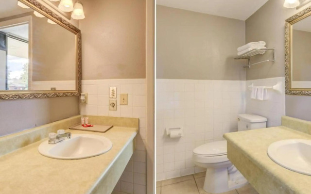OYO Hotel Douglas GA US-441