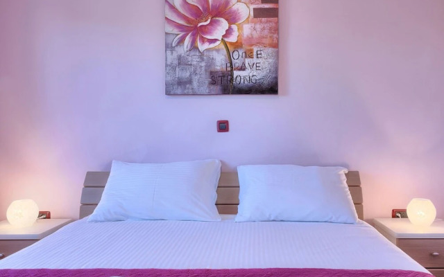 Linden Tree Pula in Pula