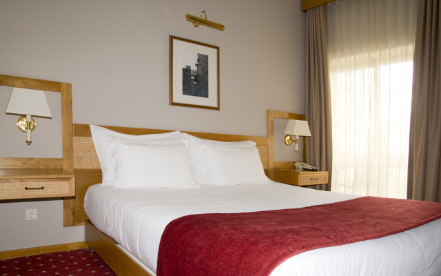 Hotel Rainha D. Amelia, Arts & Leisure