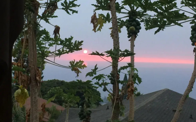 Kona Hawaii Guesthouse