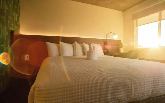 The Alice Hotel