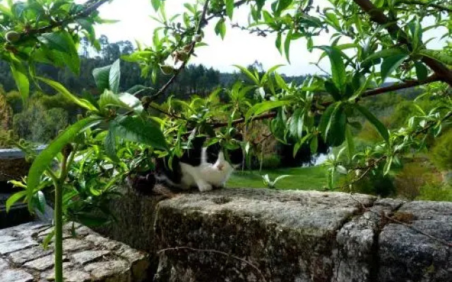 Quinta dos Tres Rios