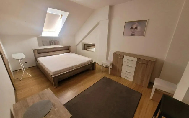 Apartments Žižkov b