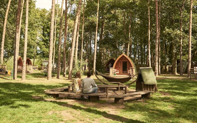 Pinewood Camping Pods - At Port Lympne Reserve