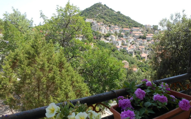 Apartment Petar