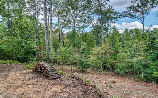 Gorgeous & Secluded 3 BDR Cabin in Mineral Bluff!