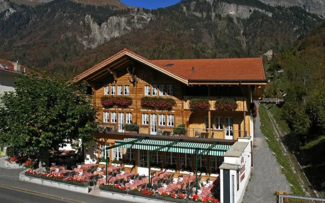 Steinbock Brienz