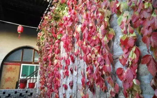 Linxian Zishuncheng Inn