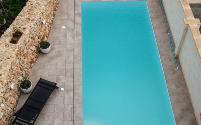 Sea Holly Gozo