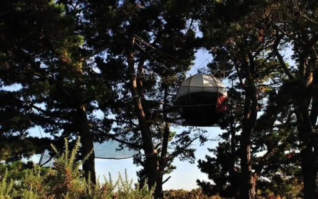 Les Nids du Parcabout