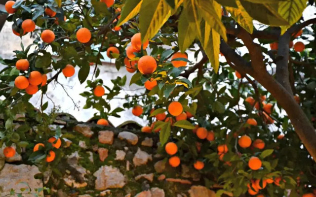 Giardino Del Sole