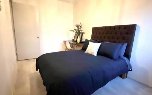 Amazing Cozy Apartment in Condesa