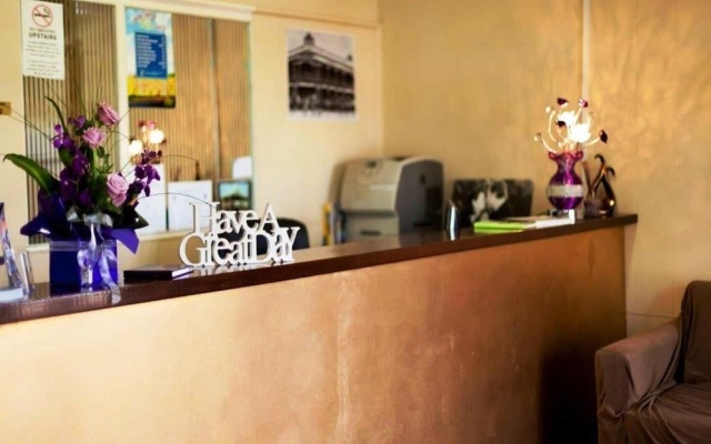 The Colliefields – Lobby – Collie