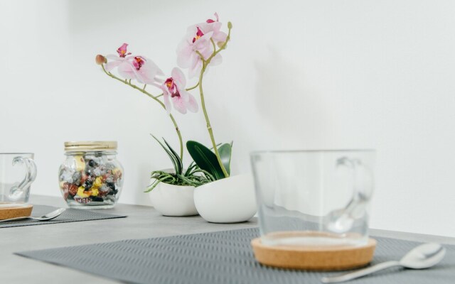 Sia Downtown Apartments