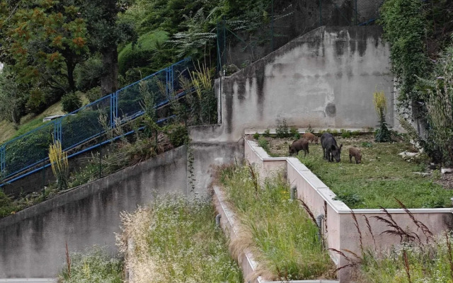 Luce di Lago Terrace