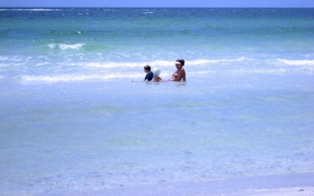 Beach Palms 6B by Anna Maria