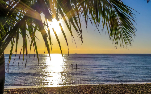 Roydon Beachfront Apartments