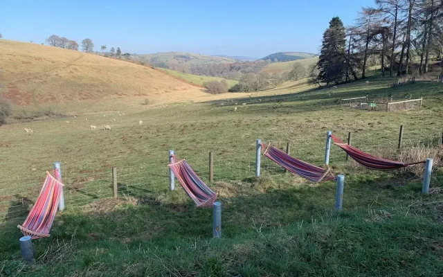 Rolling Hills