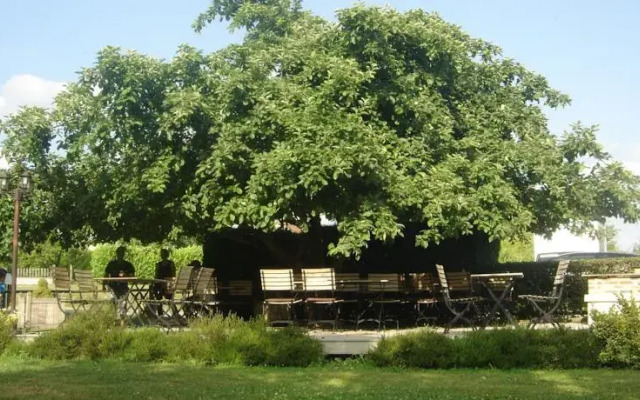 La Table de mon Grand-Père