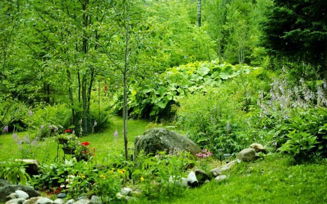 Les Terrasses du Lac