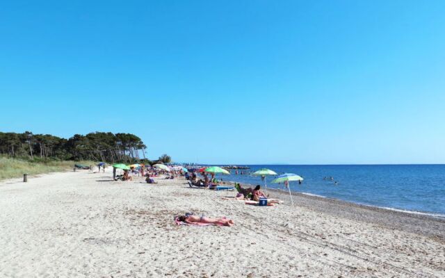 Palazzeta III (VAD150)