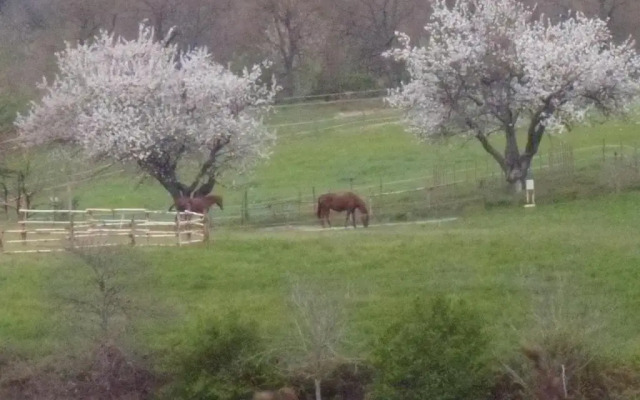 Podere delle Rose Agriturismo