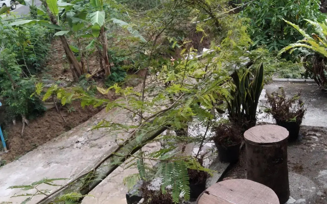 Asifa Homestay