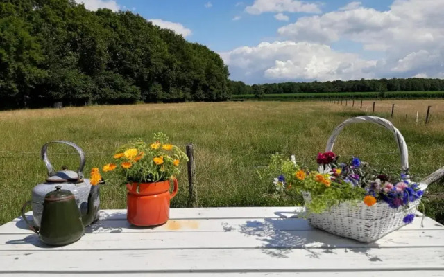 boerderijkamer Korenbloem
