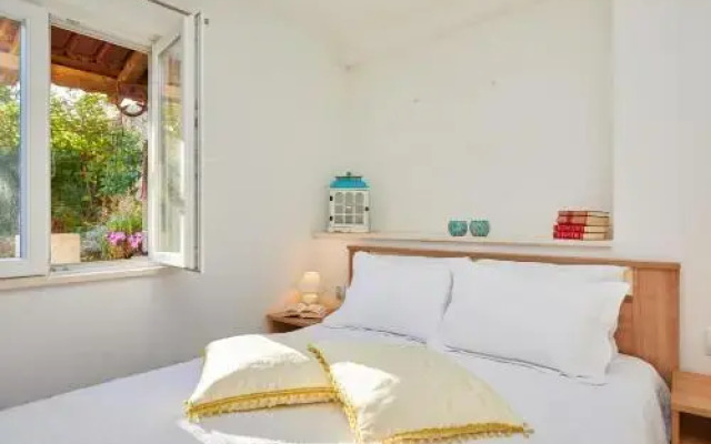 Apartments Vicko Vodnica