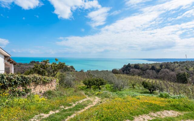 La Conchiglia dei Sogni