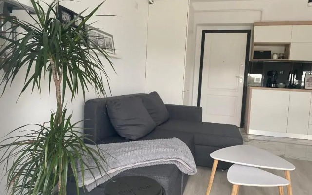 Maia Minimalist Studio