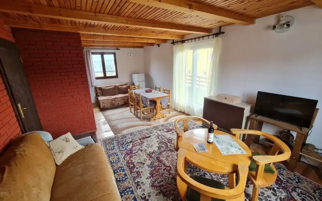 Zabljak Apartments Dacic