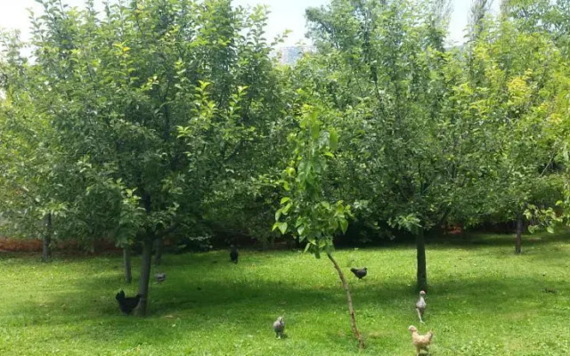 Raşitler Bağ Evi