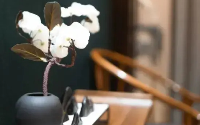 Zijin No.1 Hotel(Wanda Plaza, Guanshan lake, Guiyang)