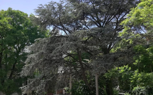 Private Room in Beautiful Home