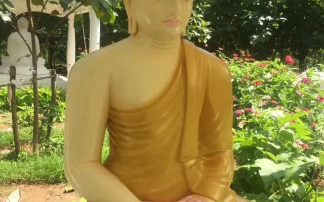 Peacock Resort Anuradhapura