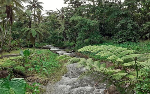 Dave Parker's Eco Lodge