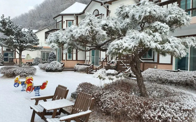 Forest of Color Pension