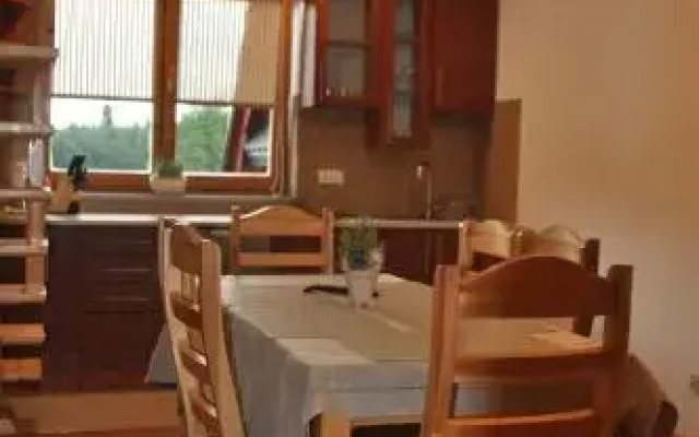 Apartamenty i pokoje Borysek