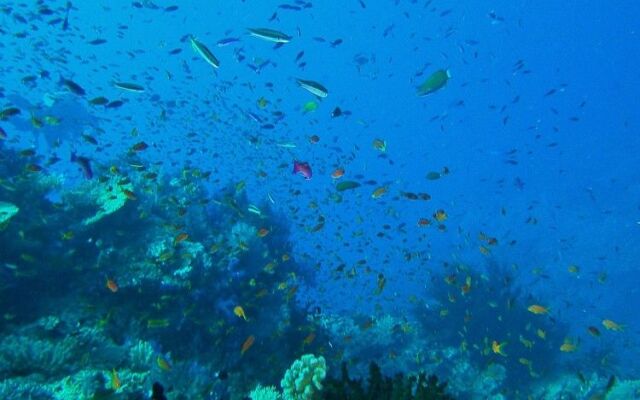 Mai Dive Astrolabe Reef Resort