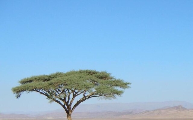 Paradis Touareg