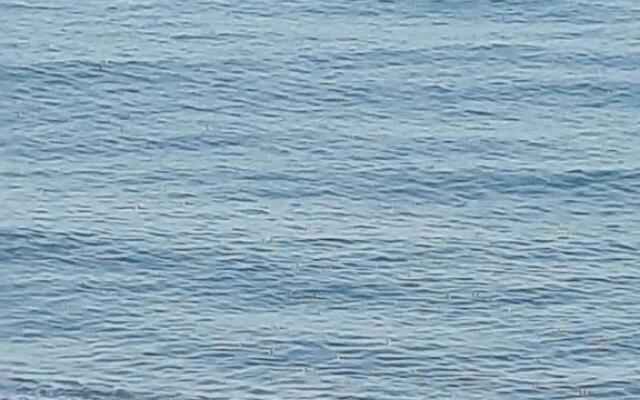 Apartment in Khimshiashvili with sea view