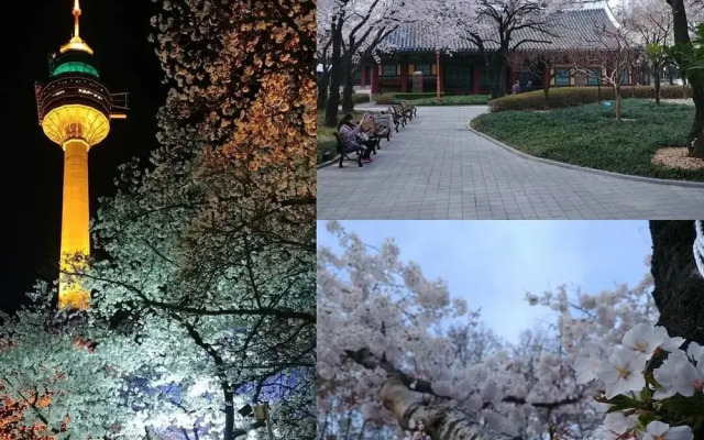 The Bomgoro Guest House in Daegu